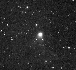 Снимок кометы McNaught, сделанный автором Ilford 400 Pro, c 600-мм объективом , выдержка 15 минут.(17480 bytes)